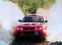 Rally of indonesia