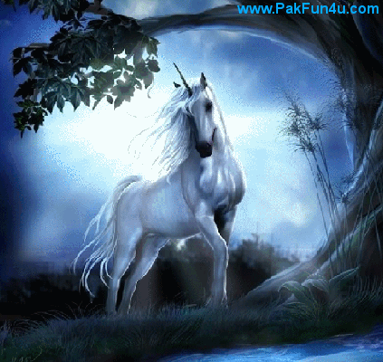 white horse!!!
