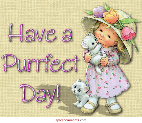 have perfect day
