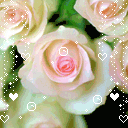 Bful rosesss