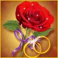 ring rose