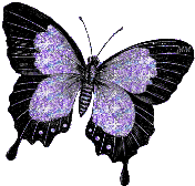 Purple b*tterfly