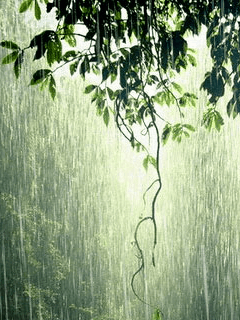 animated summer rain