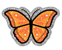 orange b*tterfly