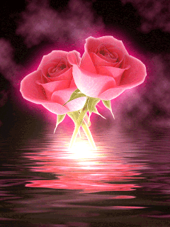 Rose In Water With Fireworks