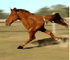 2 legged horse