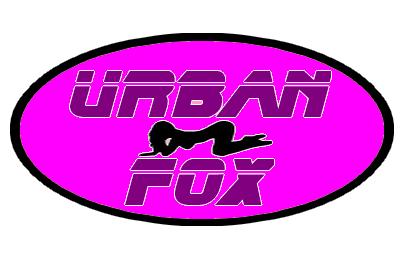 Urban fox (gif)