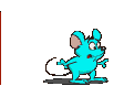 mouse run (gif)