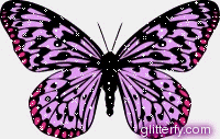 pink b*tterfly