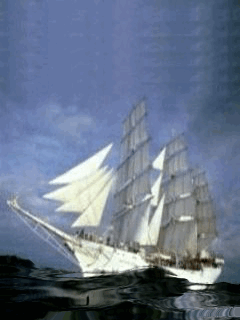 Old Model ship in sea