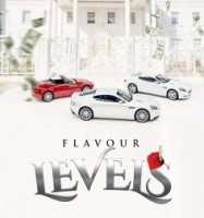 Levels _flavour