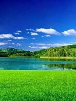 Beautiful lake nature