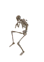 funny skeleton