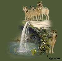 Wolves & Waterfall