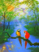 Rainbow Colors Parrots