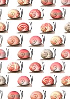 Pink Snails