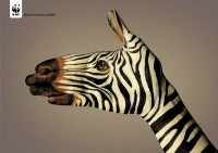 Zebra Hand