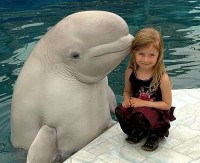 Cute girl and dolphine