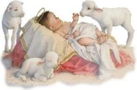 Baby Jesus and Sheep