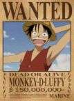 lUffy wanted