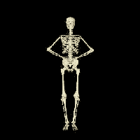 Skeleton Dances