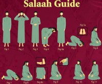 Salah Guide