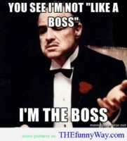 Im not like a boss...