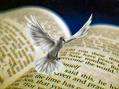 Bible and dove