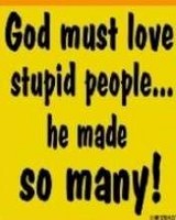 god must love stupid ppl