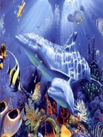 Dolphin sealife