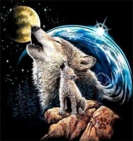 Wolves In Moonlight