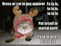 Cat In Gay Apparel