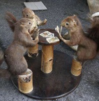 nuts bout poker