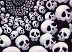 Circle a skulls