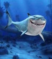 Bruce shark(-4rm nemo)