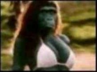 Gorilla babe