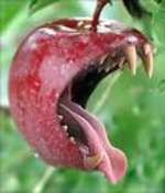 Fang apple?