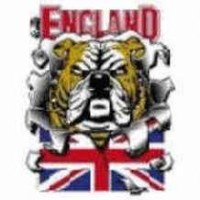 England flag n bulldog