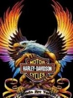 Harley davidson phenix n 