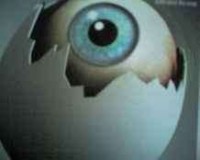 Eye in egg