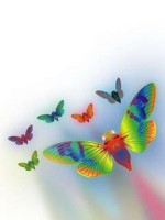 Rainbow b*tterflies