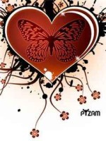 Butterfly Heart