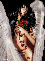Rose Angel
