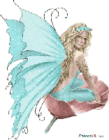 Blue b*tterfly Fairy