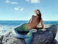 Mermaid On A Rock