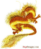 Golden Chinese Drago