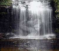 Waterfall Lovers