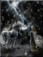 Fairy Unicorn Night