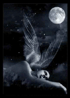 Moonlit Fallen Angel