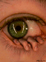 Horror The Eye